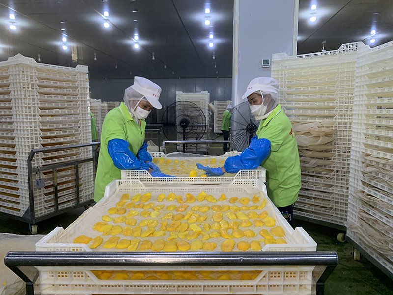 ЯÊÖ½¨ÉèÔ½·¢ÃÀºÃµÄÊÀ½ç¡ª¡ªÐ´ÔÚϰ½üƽÖ÷ϯÌá³ö¹¹½¨ÈËÀàÃüÔËÅäºÏÌåÀíÄîÊ®ÖÜÄêÖ®¼Ê